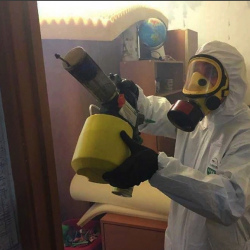 Уничтожение клопов в квартире. Зябликово